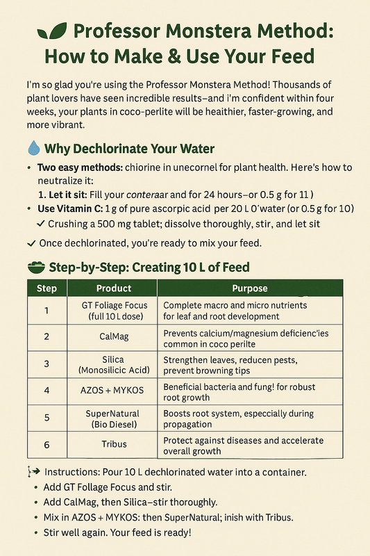 🌿 Professor Monstera Method: How to Make the Feed