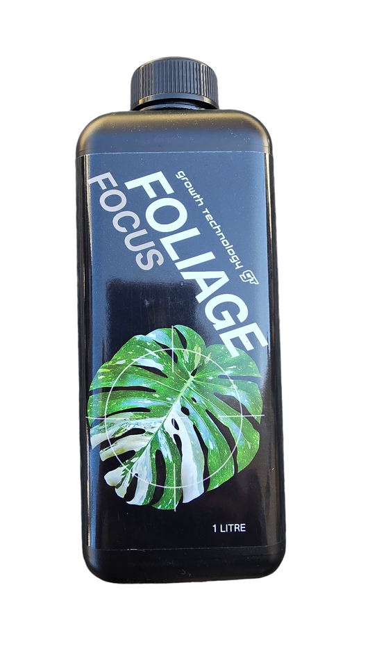 Gt Foliage Focus  image 0